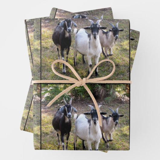 Drei Billy-Goats-Wrapper Geschenkpapier Set (Beispiel)