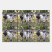Drei Billy-Goats-Wrapper Geschenkpapier Set (Vorderseite 3)