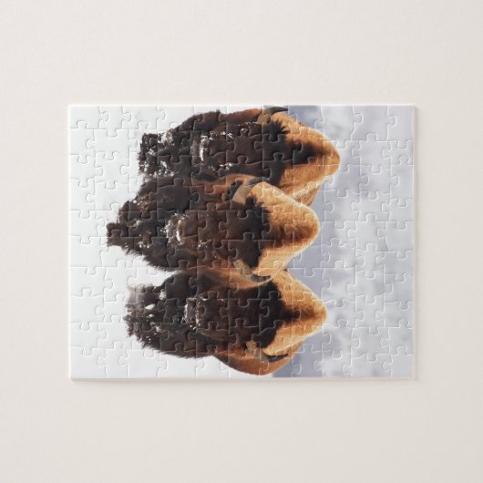 Drei Bison Puzzle (Horizontal)