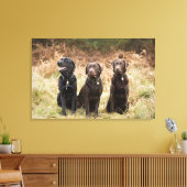 Drei Black Labrador Retrievers Leinwanddruck (Insitu (Wohnzimmer))
