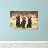 Drei Black Labrador Retrievers Leinwanddruck (Insitu (Holzboden))