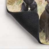 Drei Black Labrador Retrievers Mousepad (Ecke)