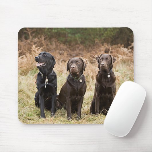 Drei Black Labrador Retrievers Mousepad (Mit Mouse)