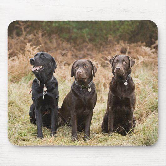 Drei Black Labrador Retrievers Mousepad (Vorne)