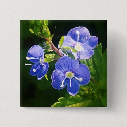 Drei blaue Blumen Button (Vorderseite)