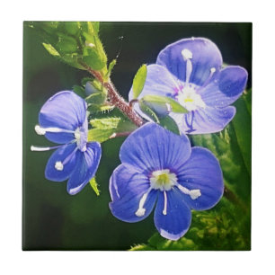 Drei blaue Blumen Fliese