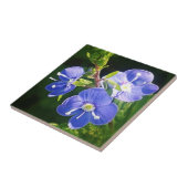Drei blaue Blumen Fliese (Seite)