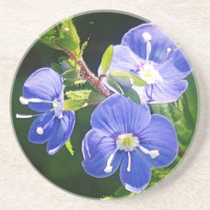 Drei blaue Blumen Getränkeuntersetzer