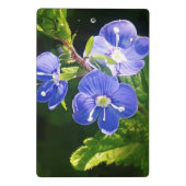 Drei blaue Blumen Mini Klemmbrett (Rückseite)