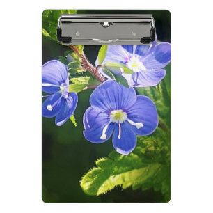Drei blaue Blumen Mini Klemmbrett