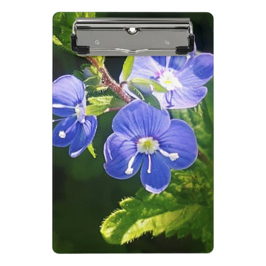 Drei blaue Blumen Mini Klemmbrett (Vorderseite)