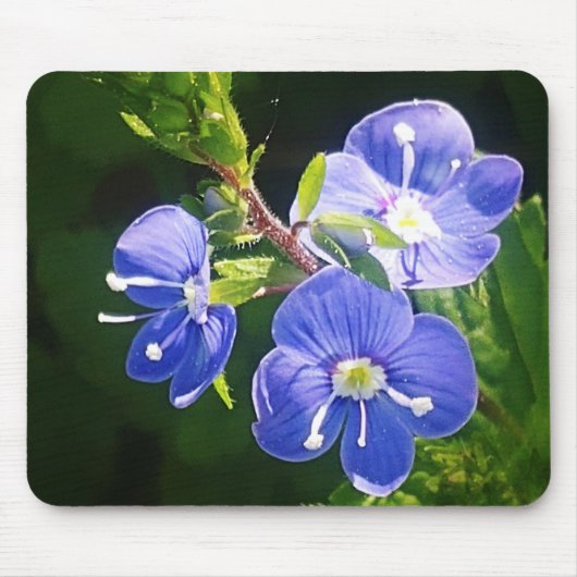 Drei blaue Blumen Mousepad (Vorne)