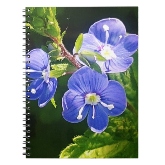 Drei blaue Blumen Notizblock (Vorderseite)