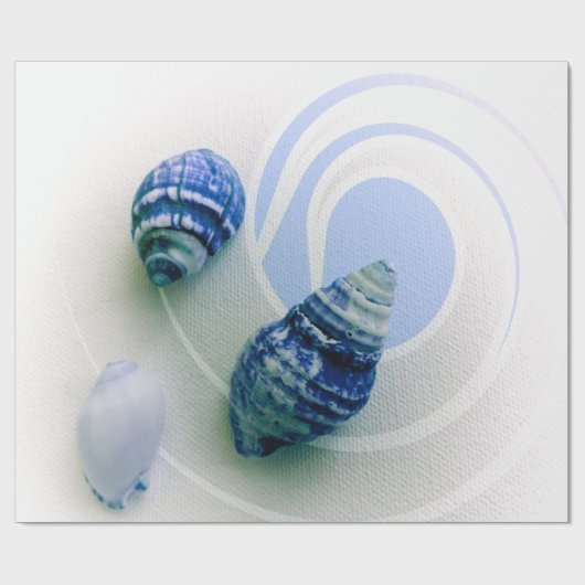 Drei blaue Muscheln Packpapier (Flach)