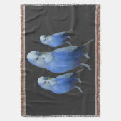 drei blaue Wellensittiche Decke (Vorderseite Vertikal)