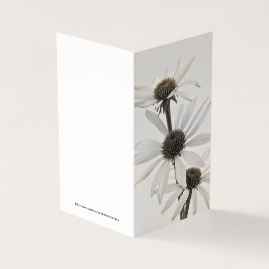 Drei Blume des weißen Kons (Vorderseite)