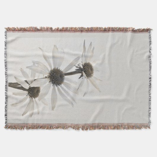 Drei Blume mit weißem Kon Decke (Vorderseite)