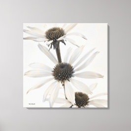 Drei Blume mit weißem Kon Leinwanddruck
