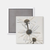 Drei Blume mit weißem Kon Magnet (Vorderseite/Rückseite)