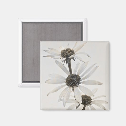 Drei Blume mit weißem Kon Magnet (Vorderseite/Rückseite)