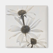 Drei Blume mit weißem Kon Magnet (Vorne)