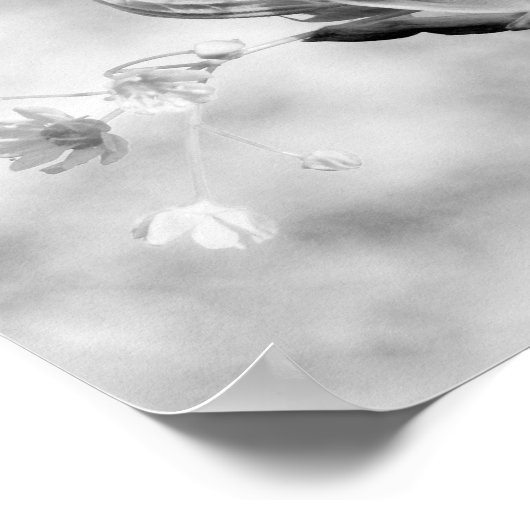 Drei Blume Poster (Ecke)