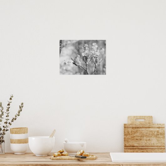 Drei Blume Poster (Küche)