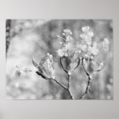 Drei Blume Poster (Vorne)