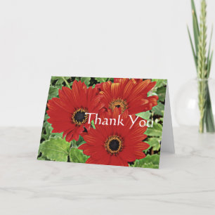 Drei Blume, während sie rot blühen, Danke
