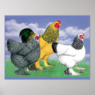 Drei Brahmanen Poster