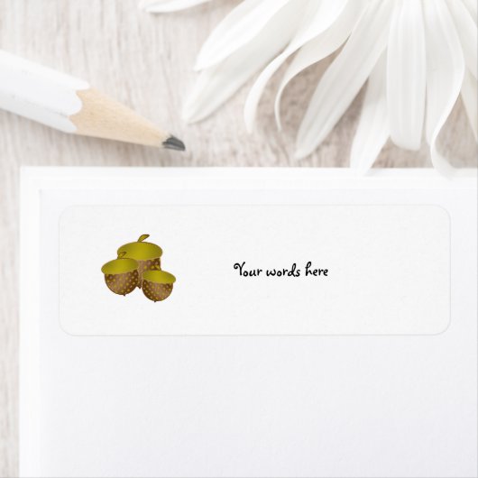 Drei braune Eicheln (Insitu)