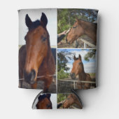 Drei braune Pferde, Dosenkühler (Vorderseite)