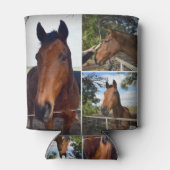 Drei braune Pferde, Dosenkühler (Rückseite)