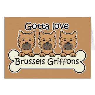 Drei Brüssel Griffons