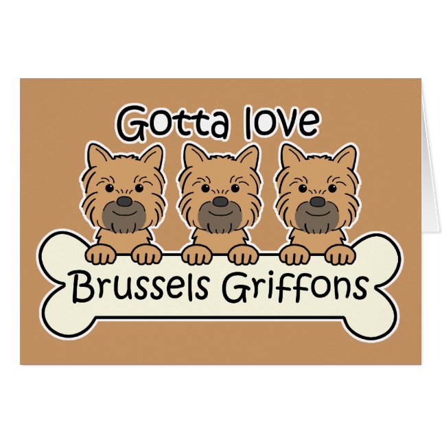 Drei Brüssel Griffons (Vorderseite (Horizontal))