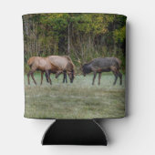 Drei Bull Elk Kämpfe Dosenkühler (Rückseite)