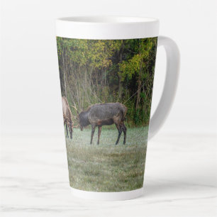 Drei Bull Elk Kämpfe Milchtasse
