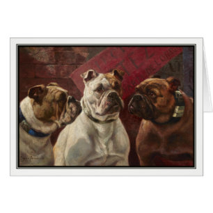 Drei Bulldoggen durch Charles Boland