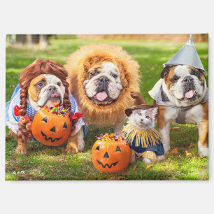 Drei Bulldoggen in Kostümen Magnet