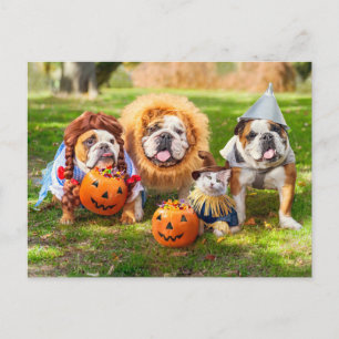 Drei Bulldoggen in Kostümen Postkarte