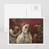 Drei Bulldogs von Charles Boland Postkarte (Vorne/Hinten)