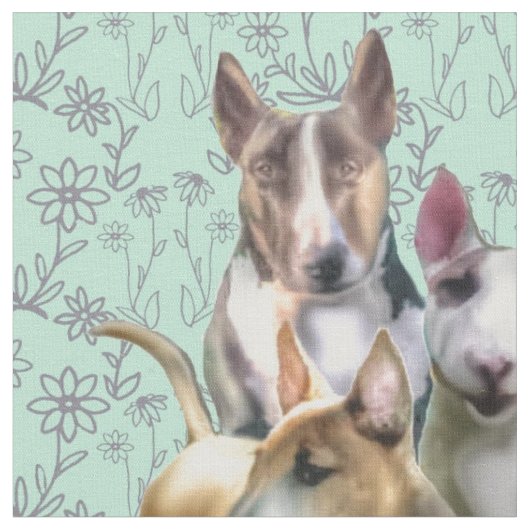 Drei Bullenterrassen Stoff (Nahaufnahme)