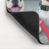 Drei Bullhunde Mousepad (Ecke)