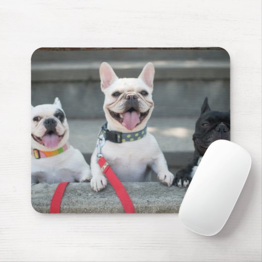 Drei Bullhunde Mousepad (Mit Mouse)