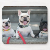 Drei Bullhunde Mousepad (Vorne)