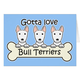 Drei Bullterrier