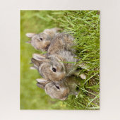 Drei Bunnies im Gras Puzzle (Vertikal)