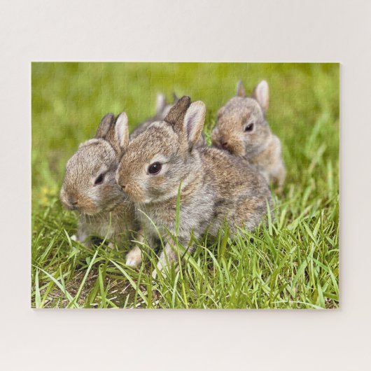Drei Bunnies im Gras Puzzle (Horizontal)