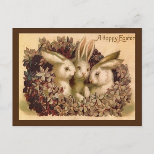 Drei Bunnies Vintag Ostern Grußkarte Postkarte (Vorderseite)