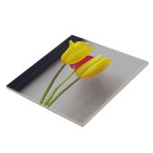 Drei bunte Tulpen Keramik Fliesen (Seite)